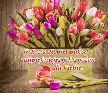 Mnóstwo tulipanów w skrzynce z życzeniami na 8 marca